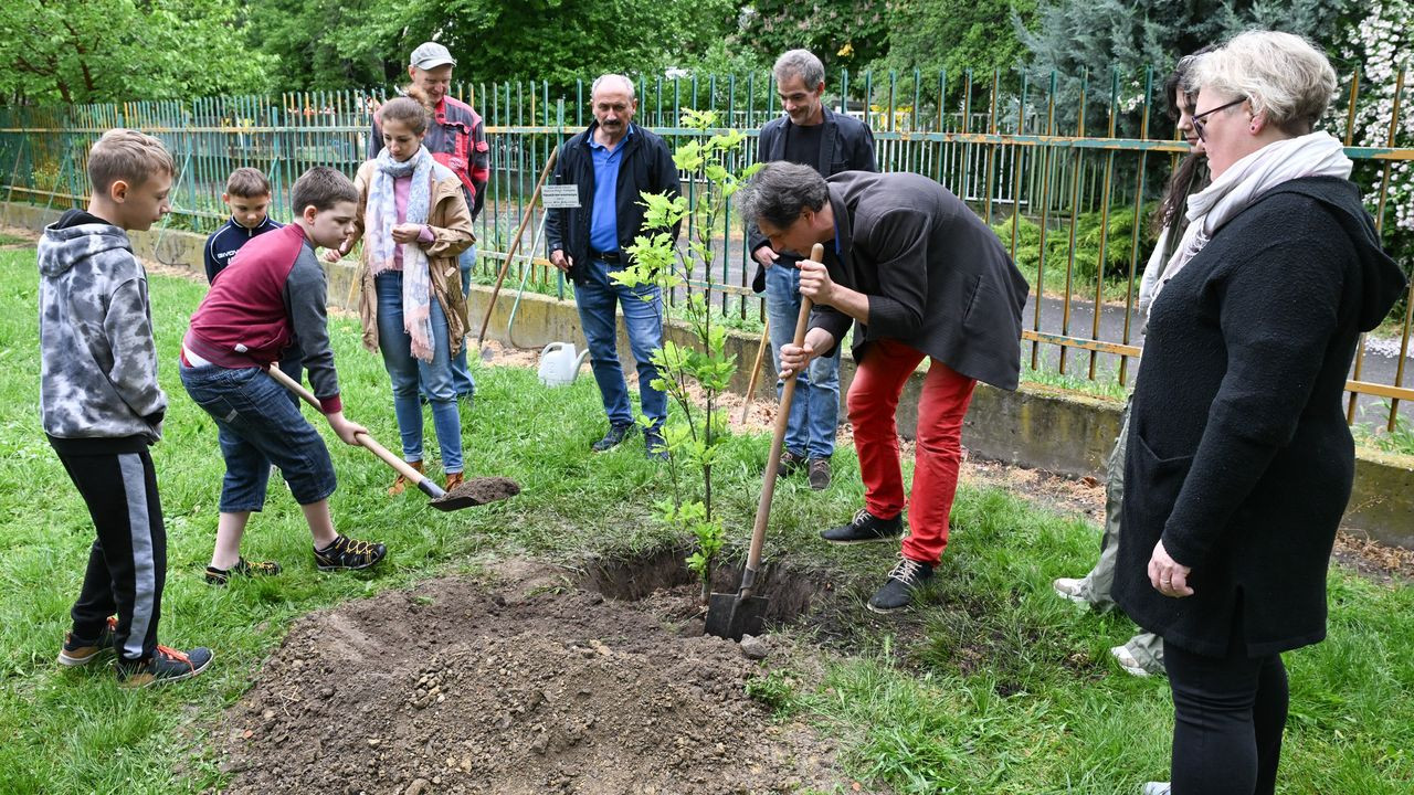 A bábszínház társulatának köszönhetően újabb két fával bővült a szegedi iskolák udvara
